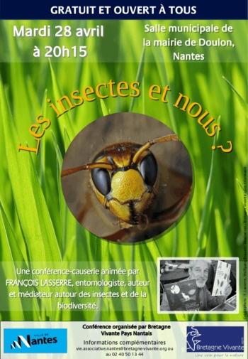 Les insectes et nous ? | ECHOSCIENCES - Nantes Métropole